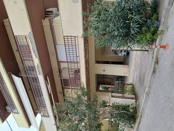photo2