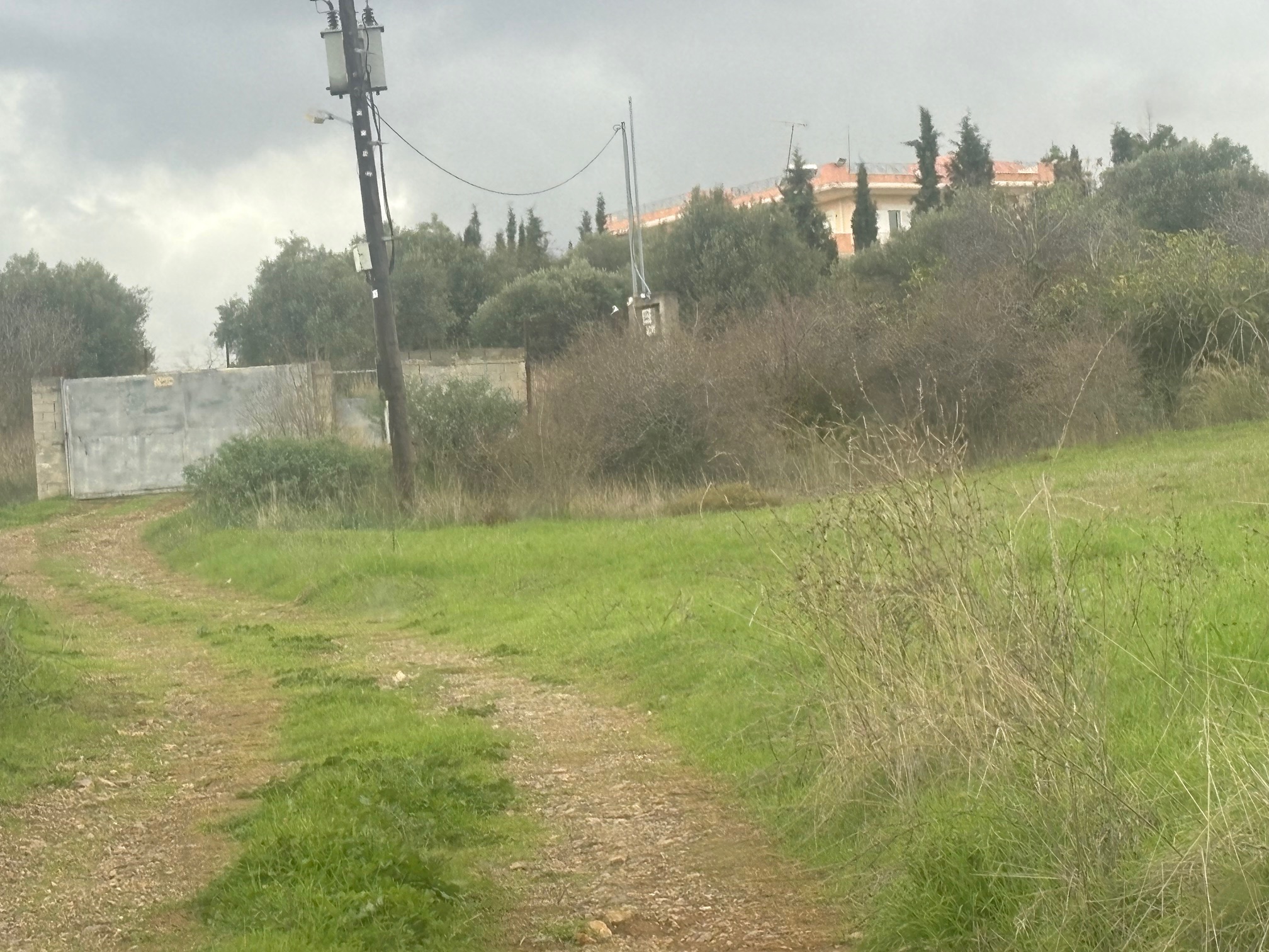 photo0