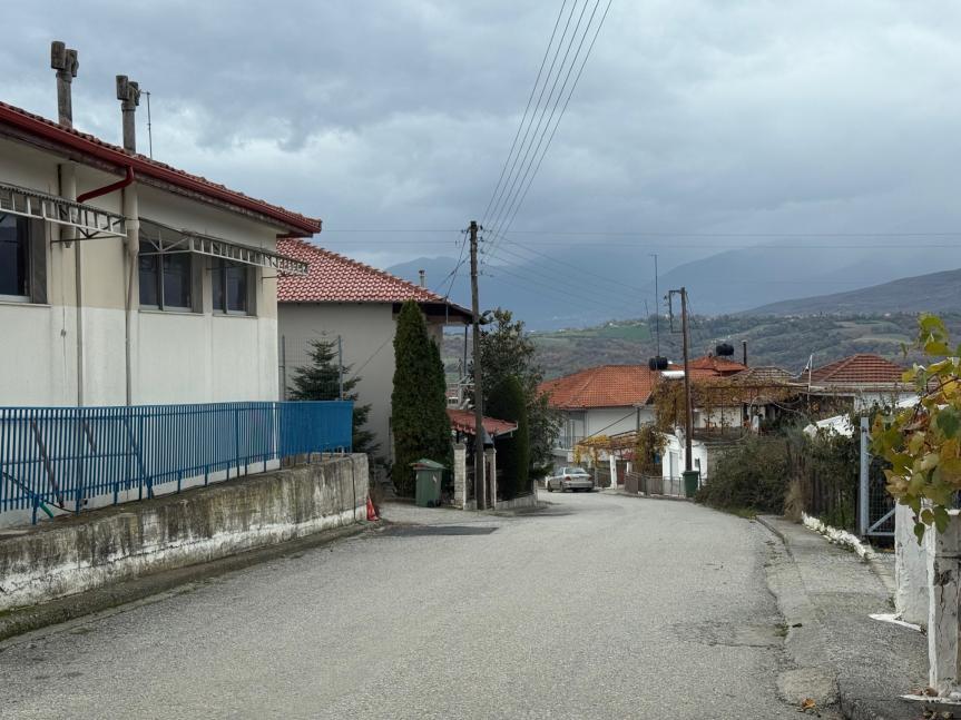 photo7