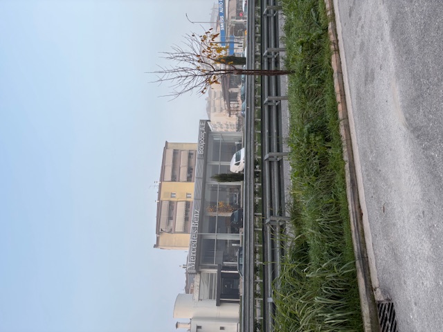 photo2
