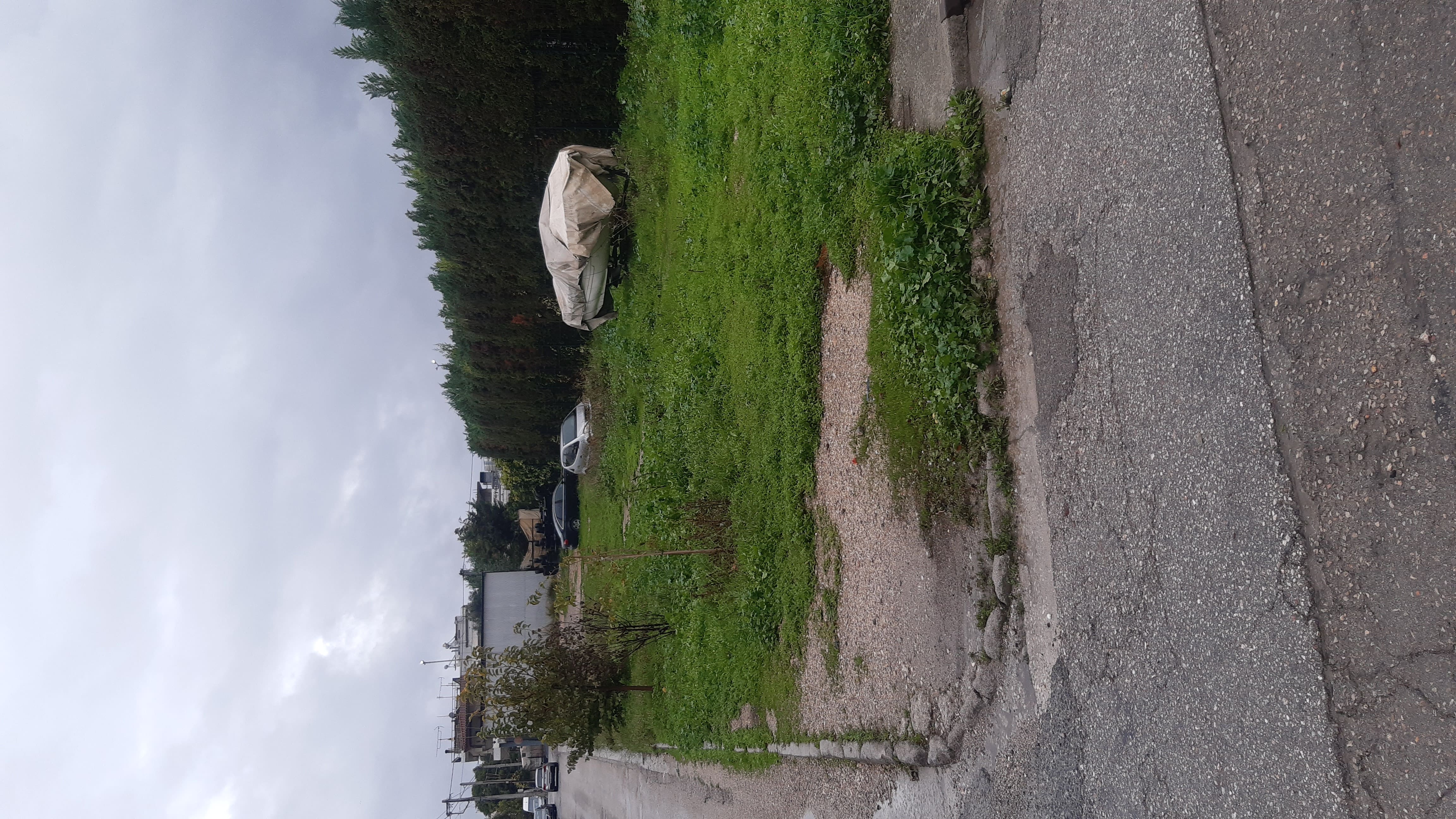 photo2