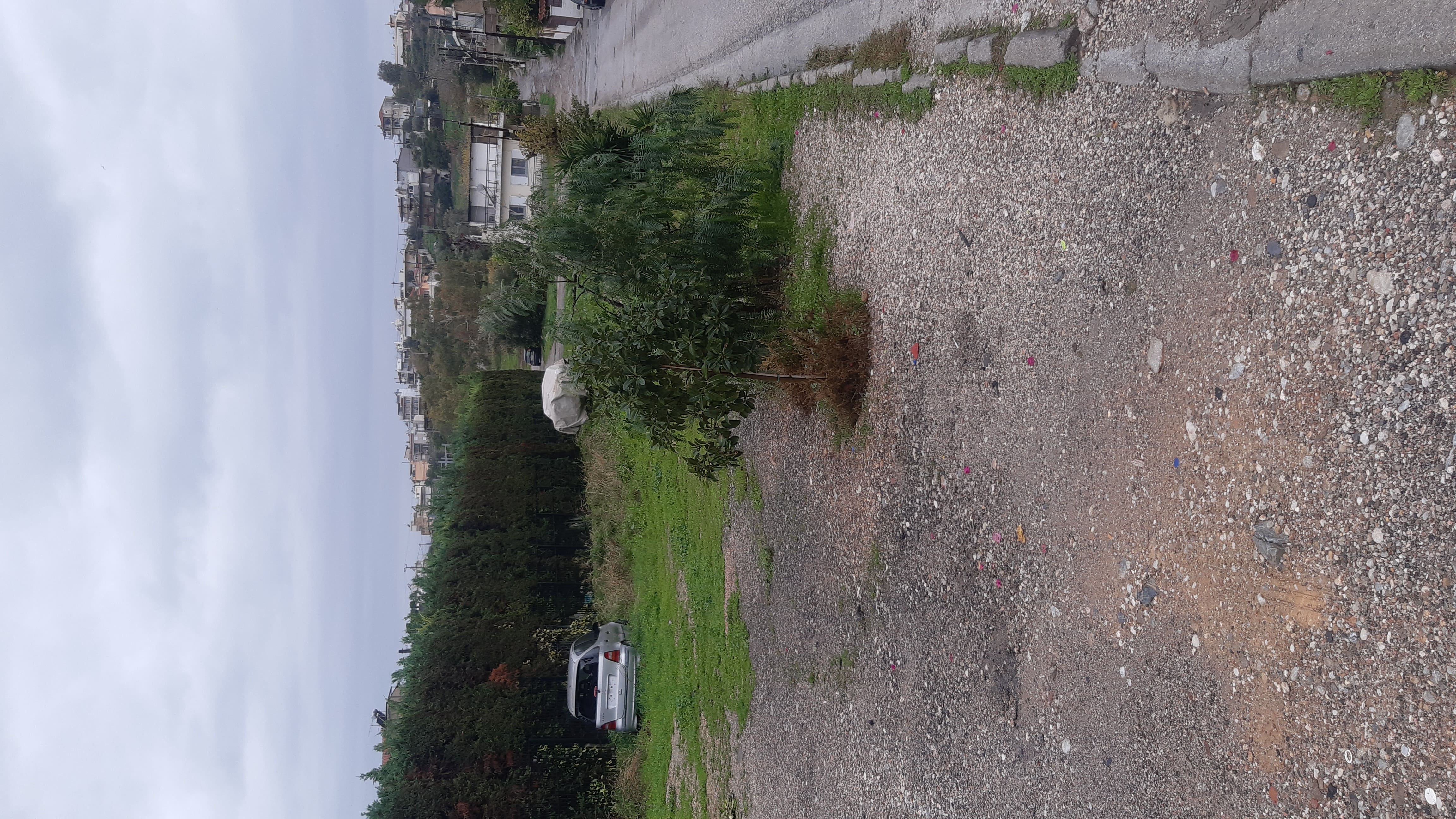 photo3