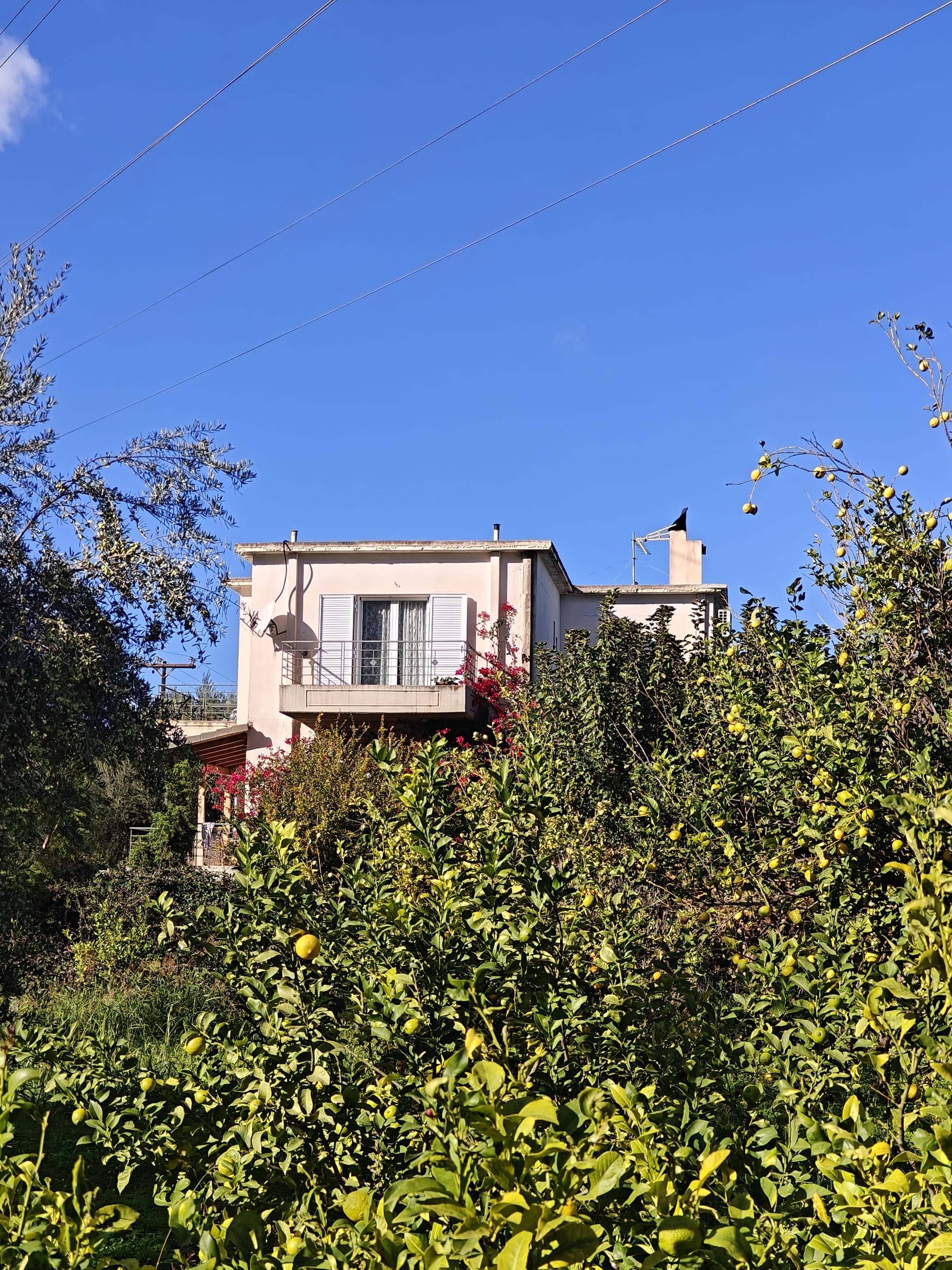 photo0