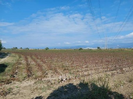 Αγροτεμάχιο  σε πλειστηριασμό Municipality of Lamia