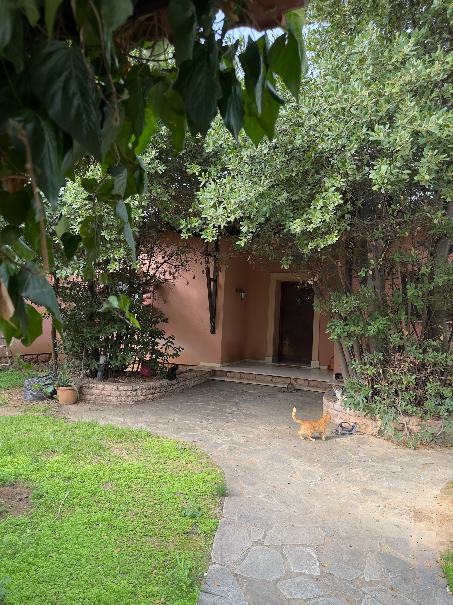 Κατοικία  σε πλειστηριασμό Δήμος Κηφισιάς