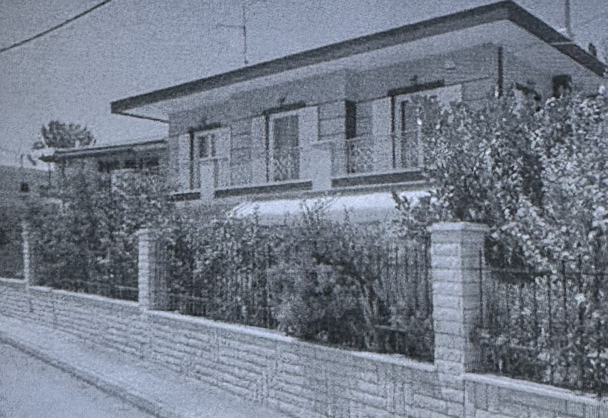 photo1