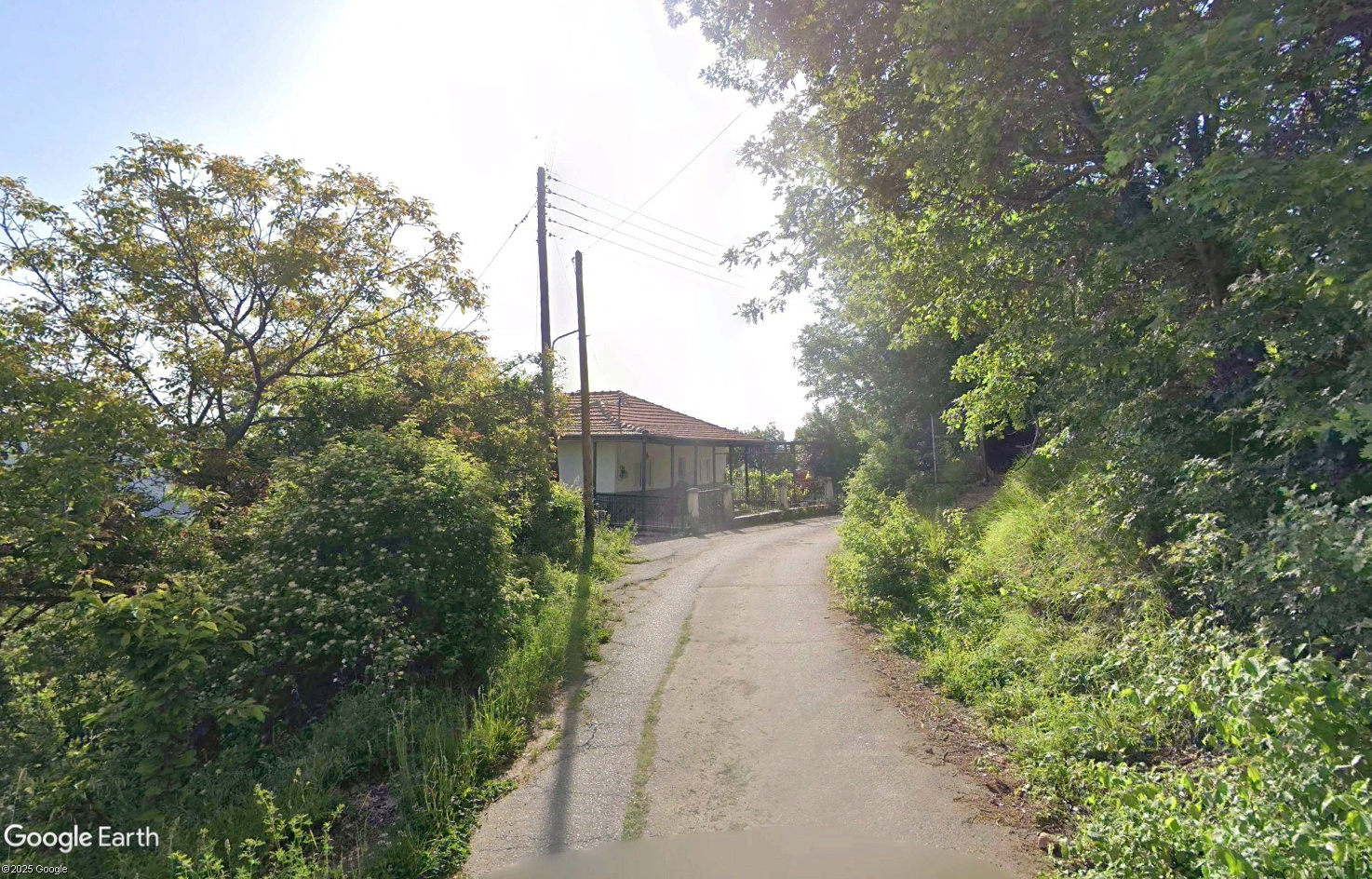 photo0