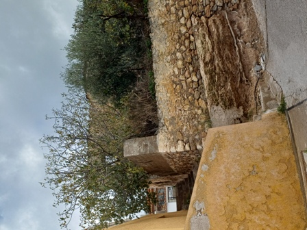 photo1