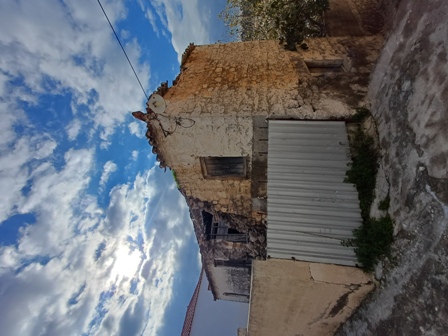 photo2