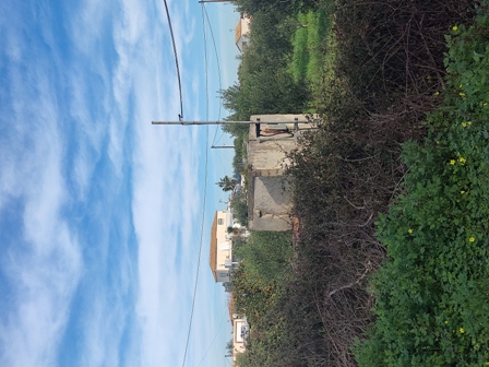 photo0