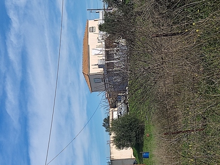 photo1