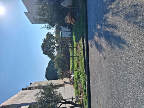photo1