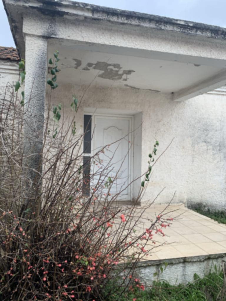 photo1