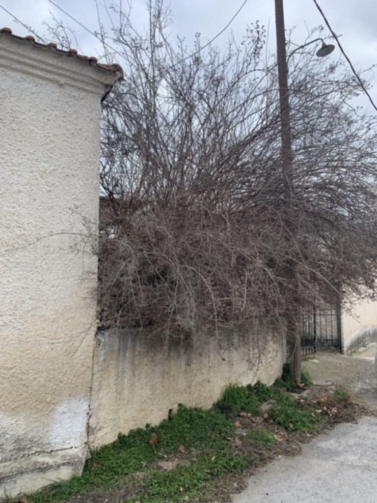photo5