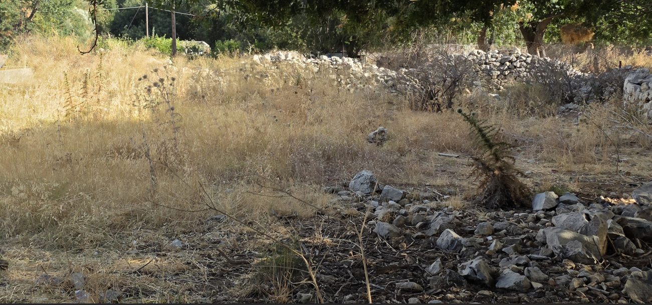 photo1