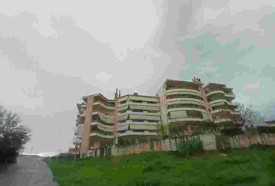 photo1