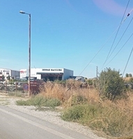 photo2