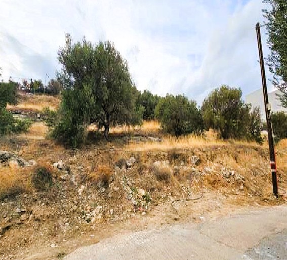 Οικόπεδο 455 sq.m. σε πλειστηριασμό Municipality of Agios Nikolaos