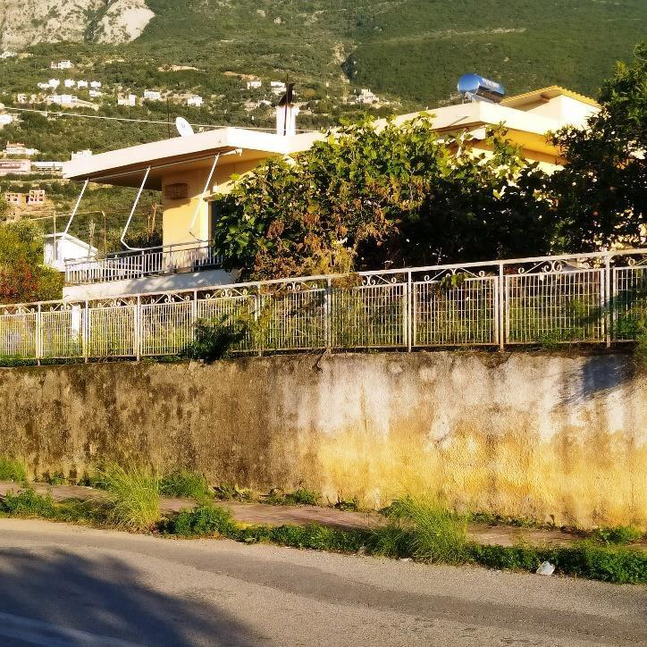 photo1