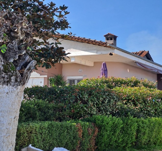 photo1