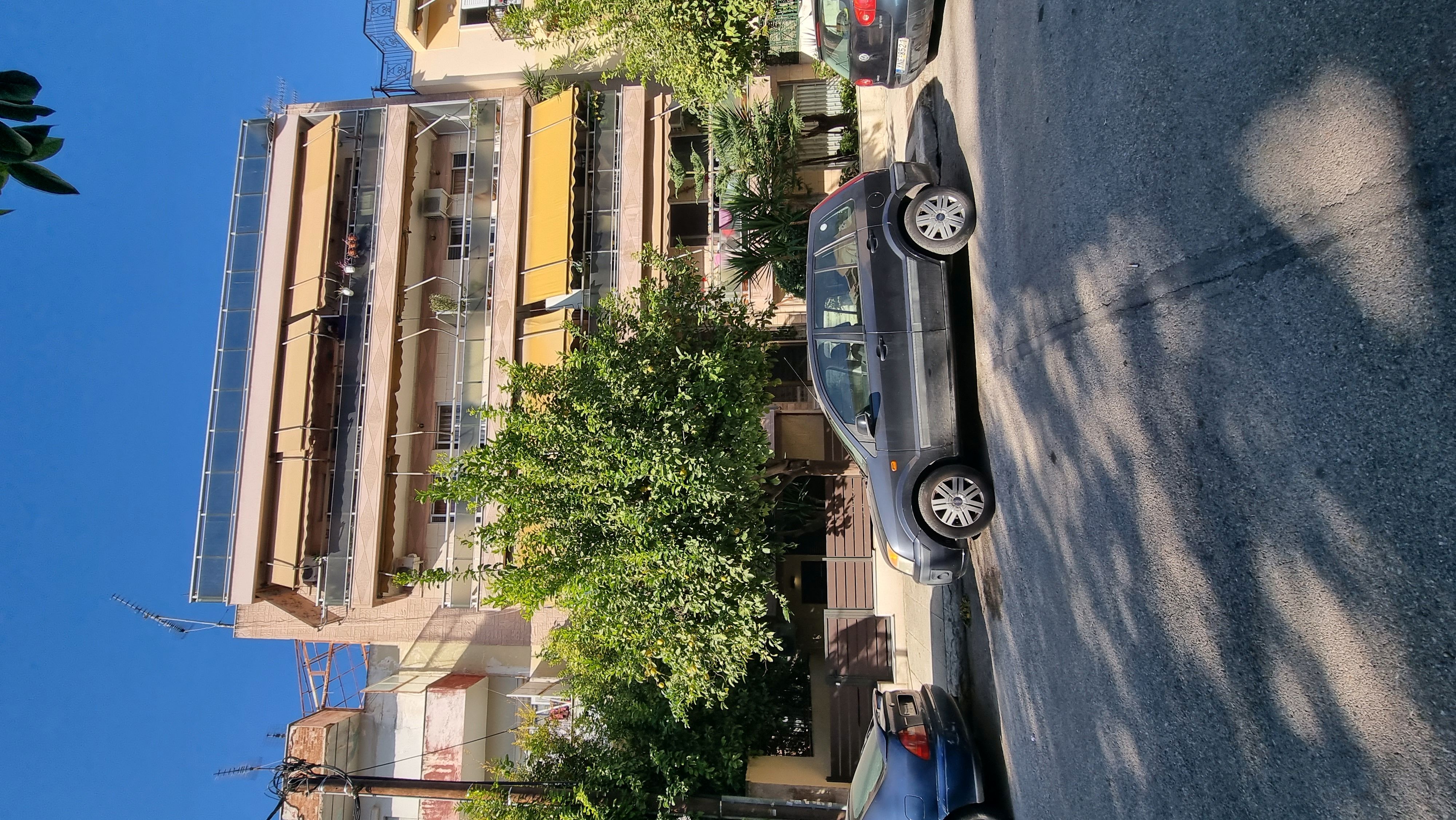photo1