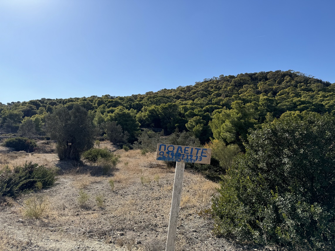 Αγροτεμάχιο  σε πλειστηριασμό Δήμος Αίγινας