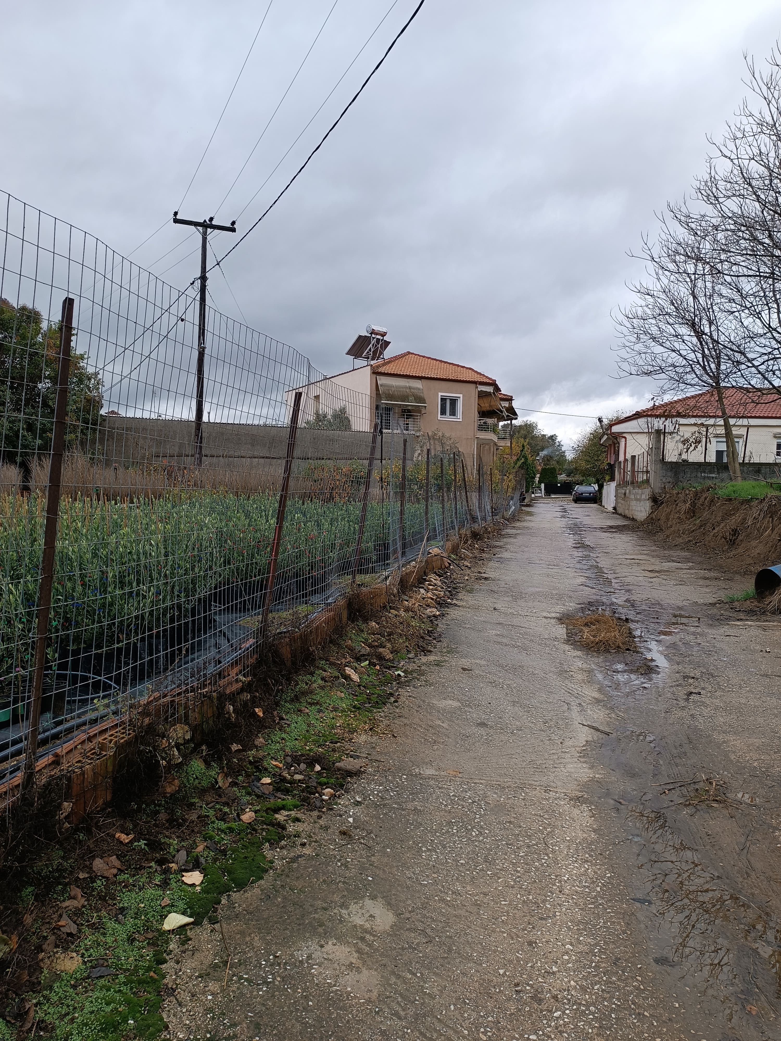 Οικόπεδο  σε πλειστηριασμό Δήμος Αγιάς