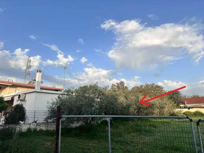 Οικόπεδο 579.78 τ.μ. σε πλειστηριασμό Δήμος Βέλου - Βόχας