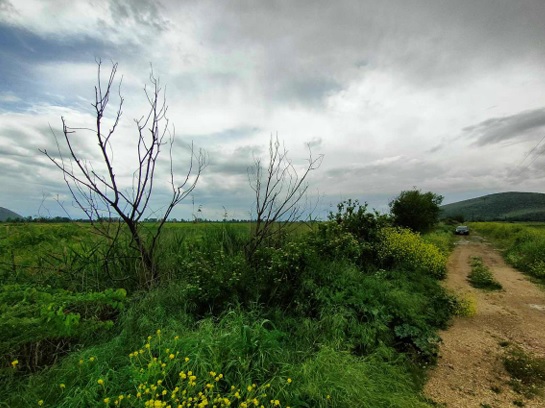 Αγροτεμάχιο 965 τ.μ. σε πλειστηριασμό Δήμος Φαρκαδόνας