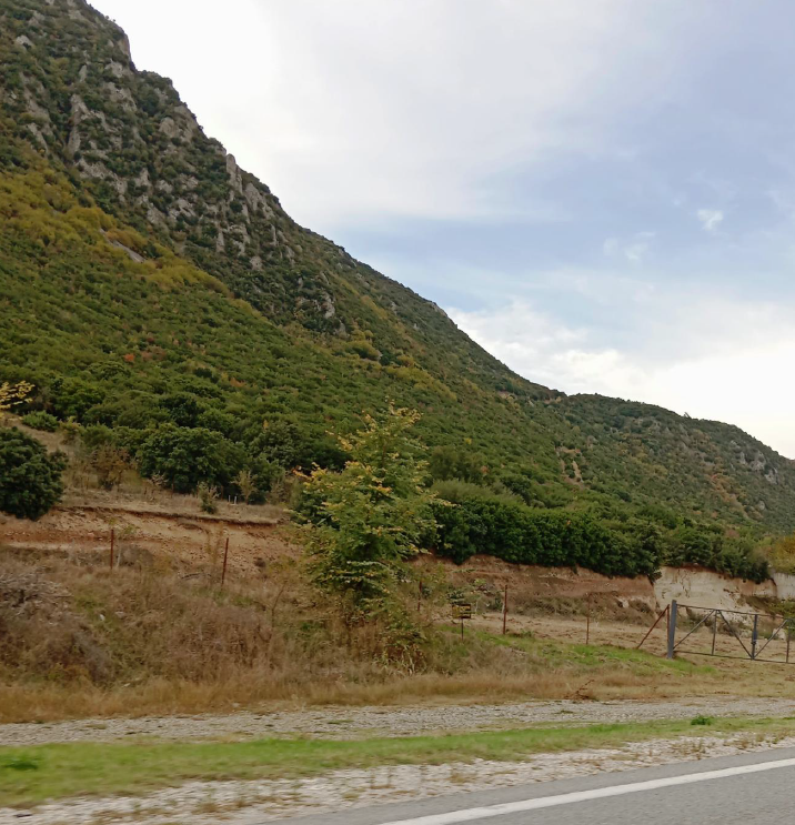 Αγροτεμάχιο  σε πλειστηριασμό Δήμος Σερβίων - Βελβεντού