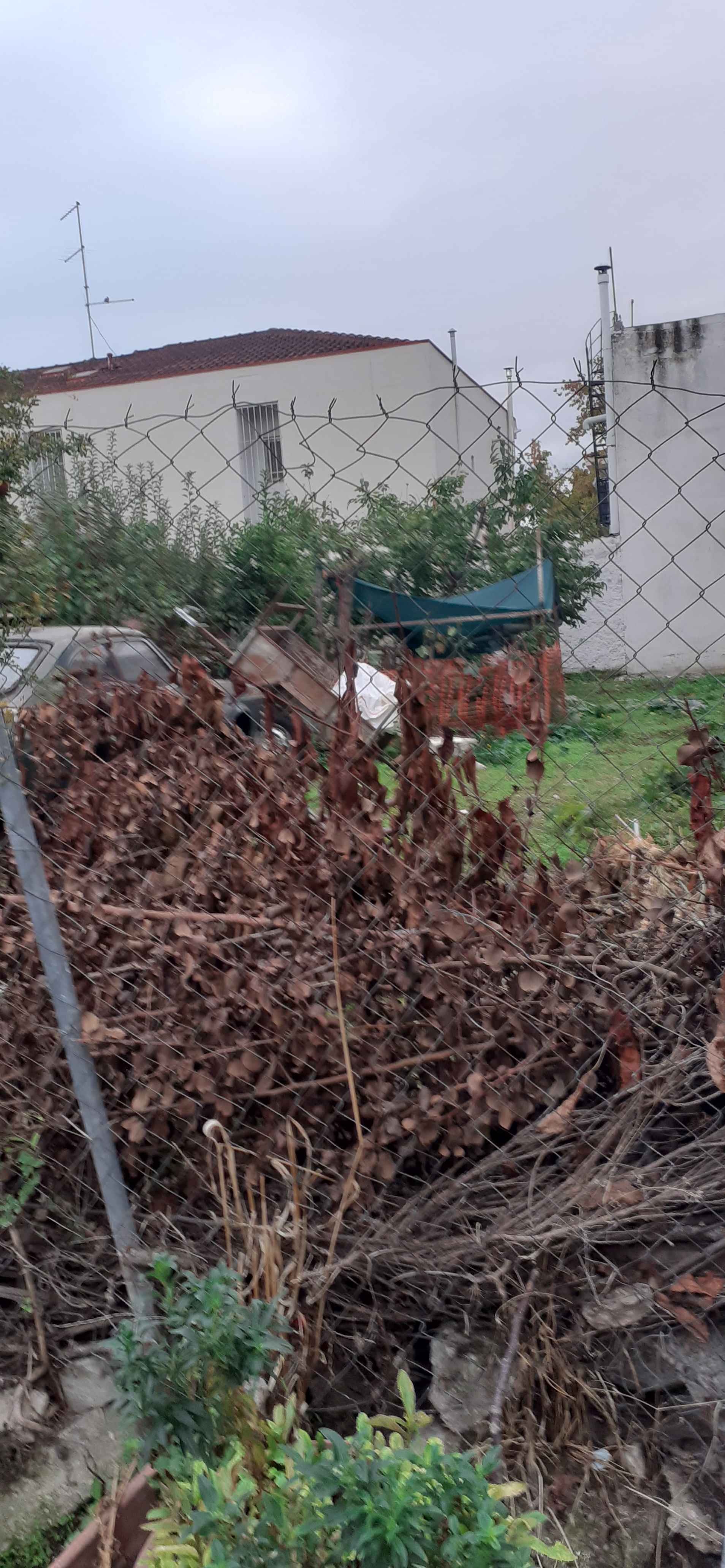 Οικόπεδο  σε πλειστηριασμό Municipality of Larissa