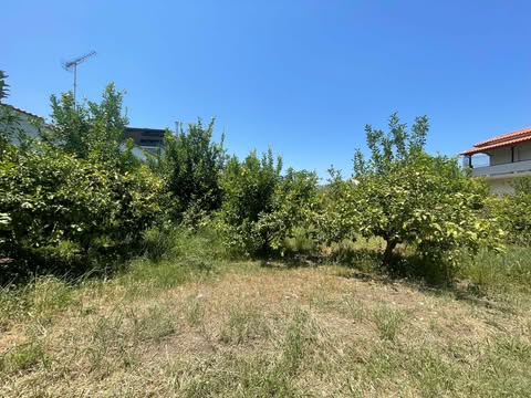 Οικόπεδο  σε πλειστηριασμό Municipality of Aegialia