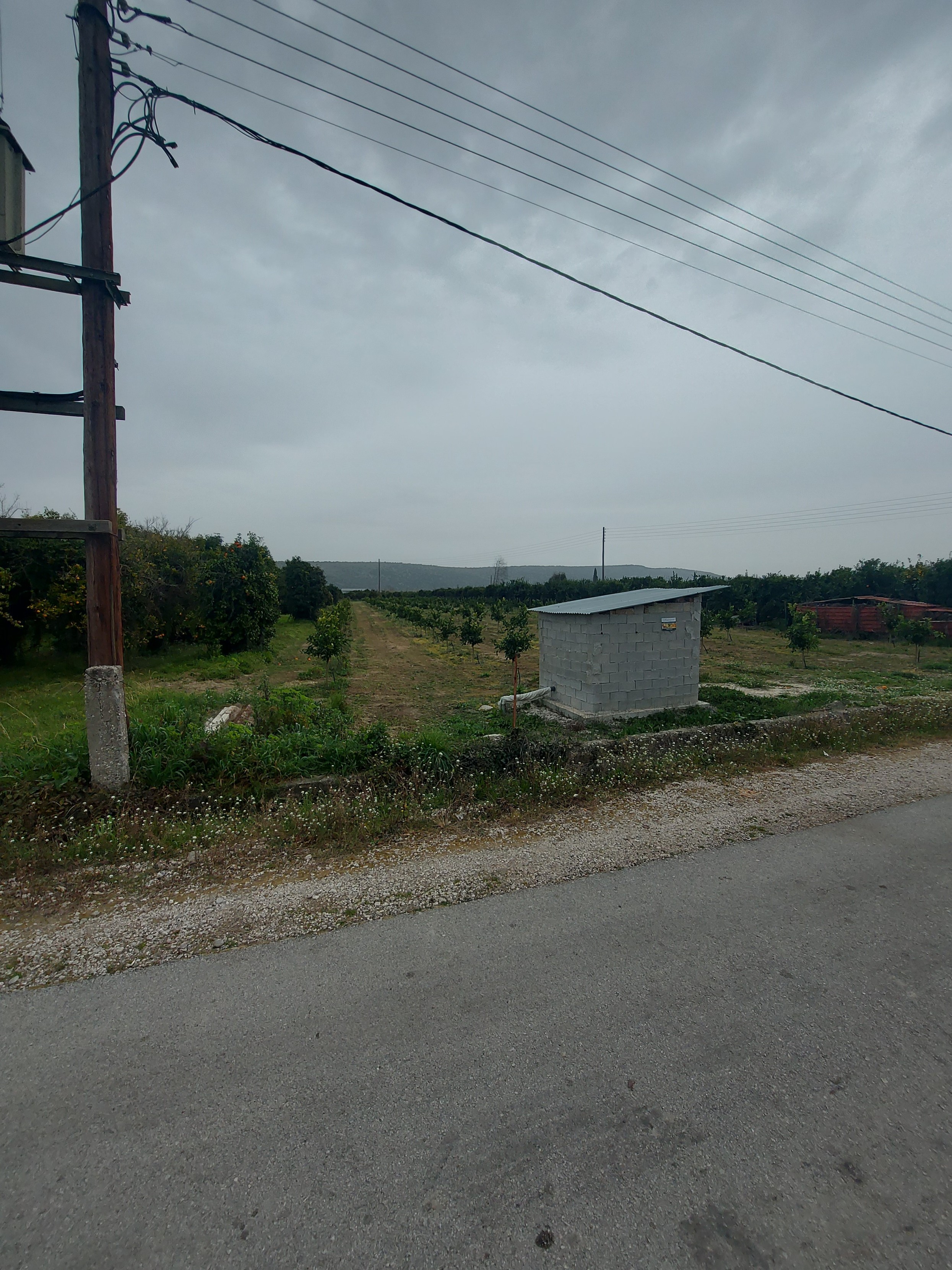 Οικόπεδο  σε πλειστηριασμό Δήμος Αρταίων