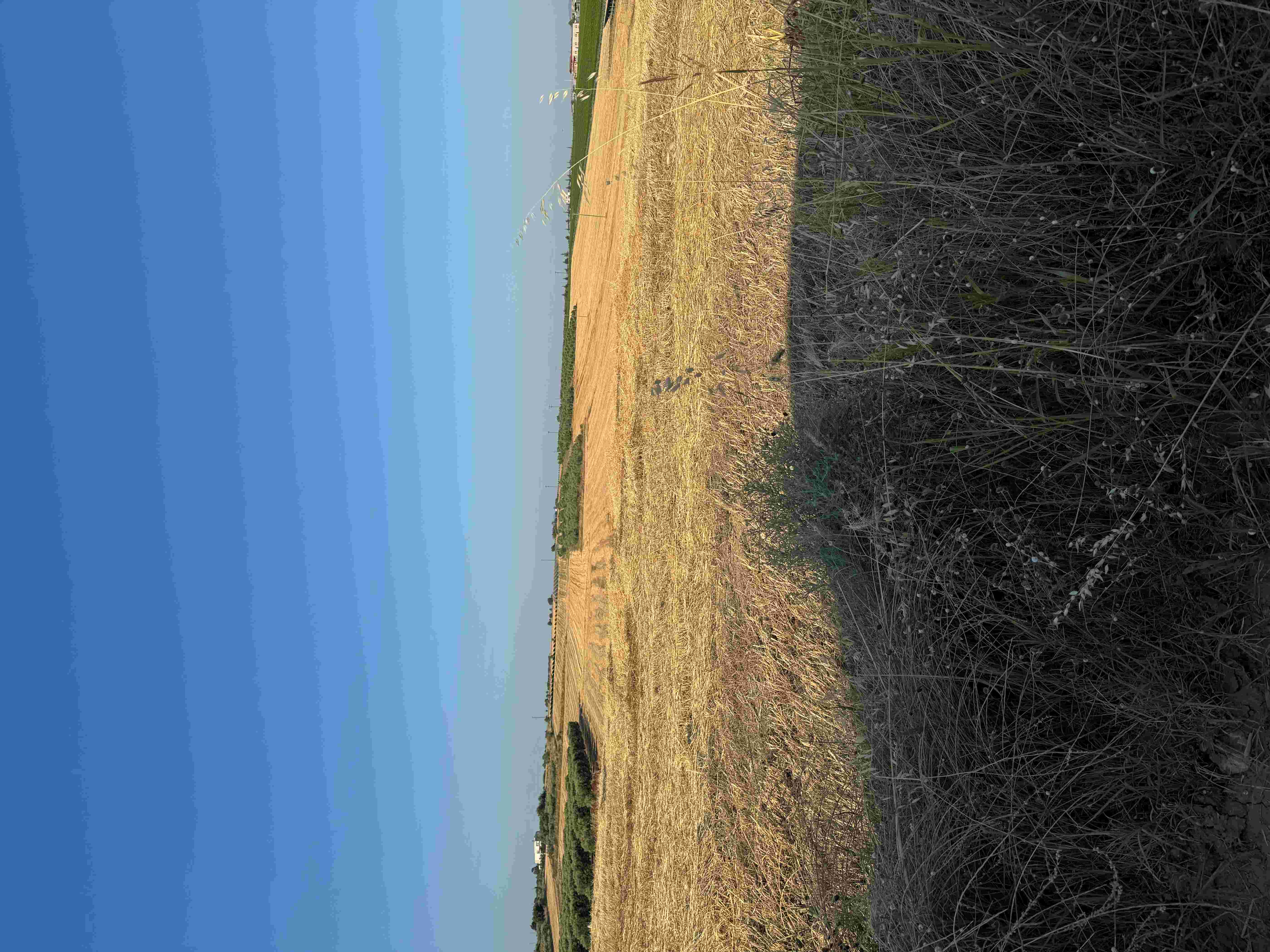 Αγροτεμάχιο 4749.70 τ.μ. σε πλειστηριασμό Δήμος Θερμαϊκού