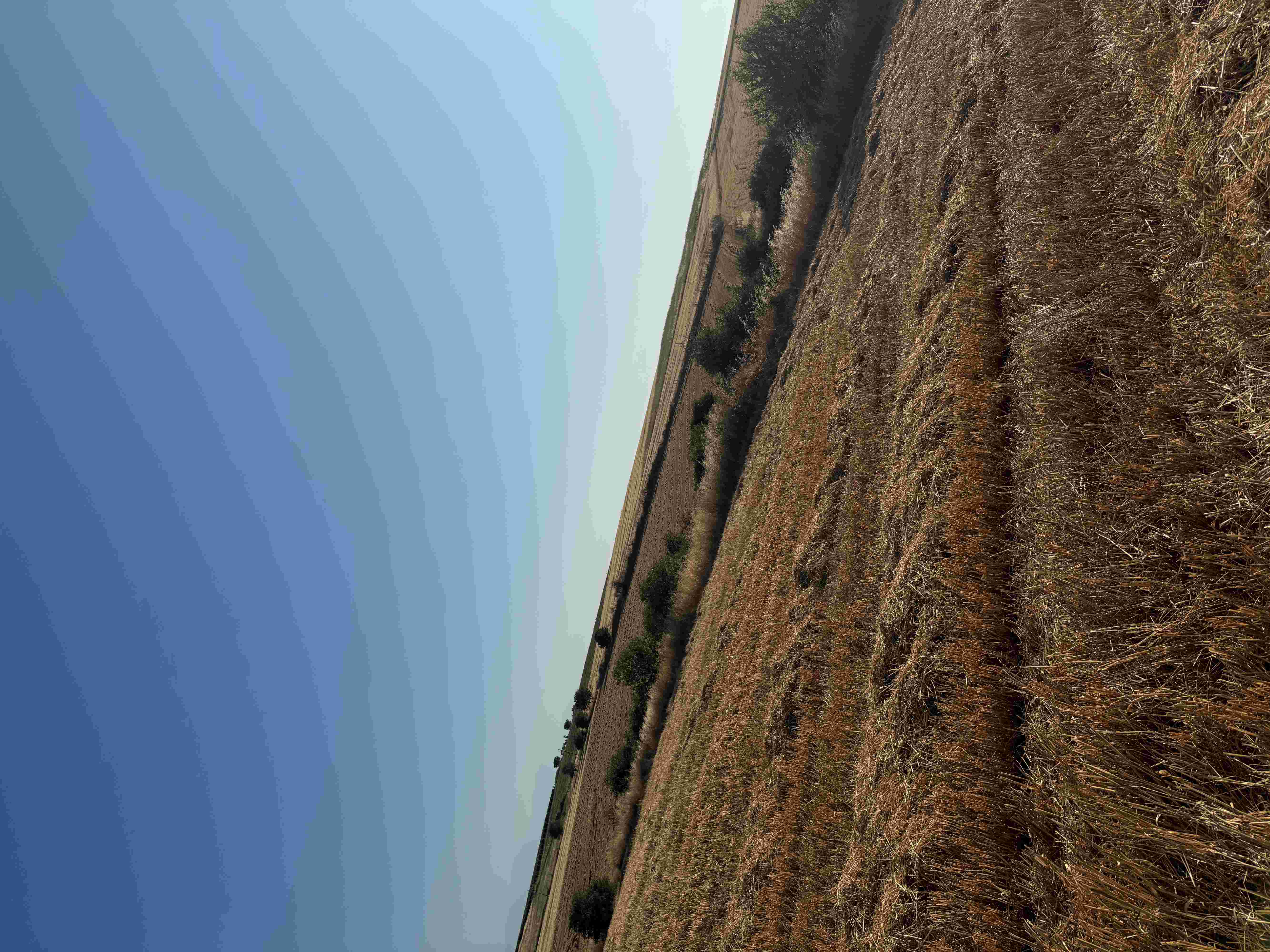 Αγροτεμάχιο 4749.70 τ.μ. σε πλειστηριασμό Δήμος Θερμαϊκού