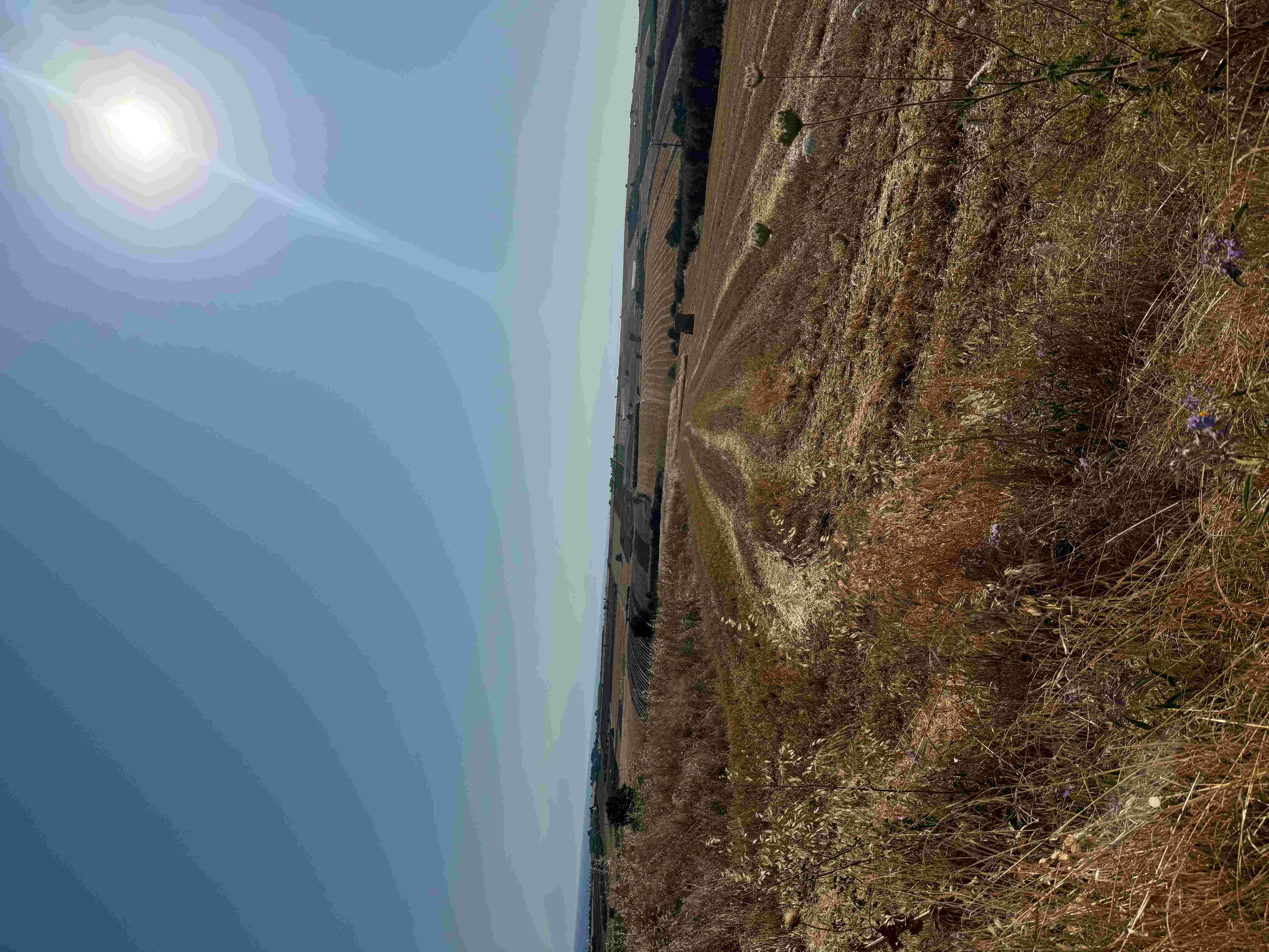 Αγροτεμάχιο 4749.70 τ.μ. σε πλειστηριασμό Δήμος Θερμαϊκού