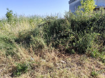 Αγροτεμάχιο 1815 τ.μ. σε πλειστηριασμό Δήμος Αλεξάνδρειας