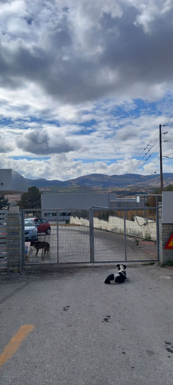 Βιομηχανικός / Βιοτεχνικός Χώρος 515.03 τ.μ. σε πλειστηριασμό Δήμος Βόλου