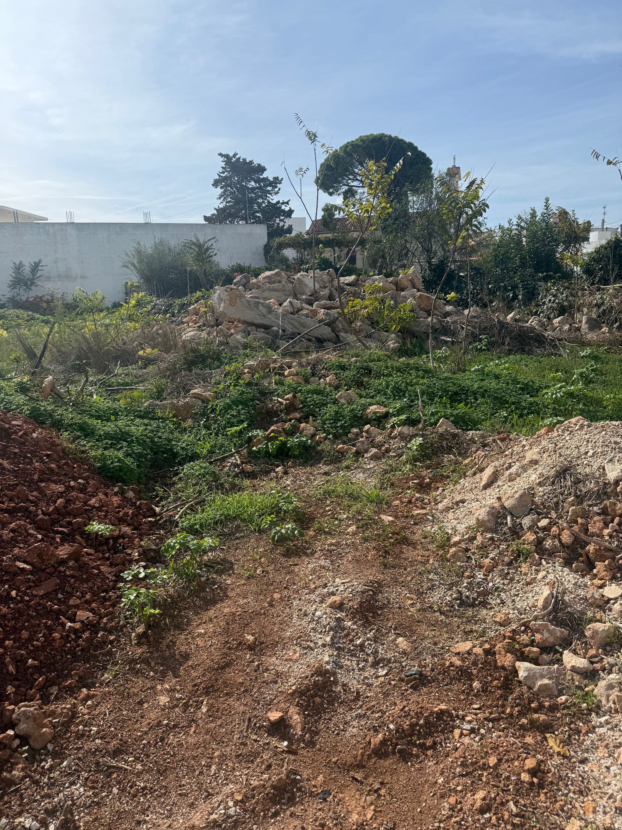 Οικόπεδο  σε πλειστηριασμό Δήμος Χανίων