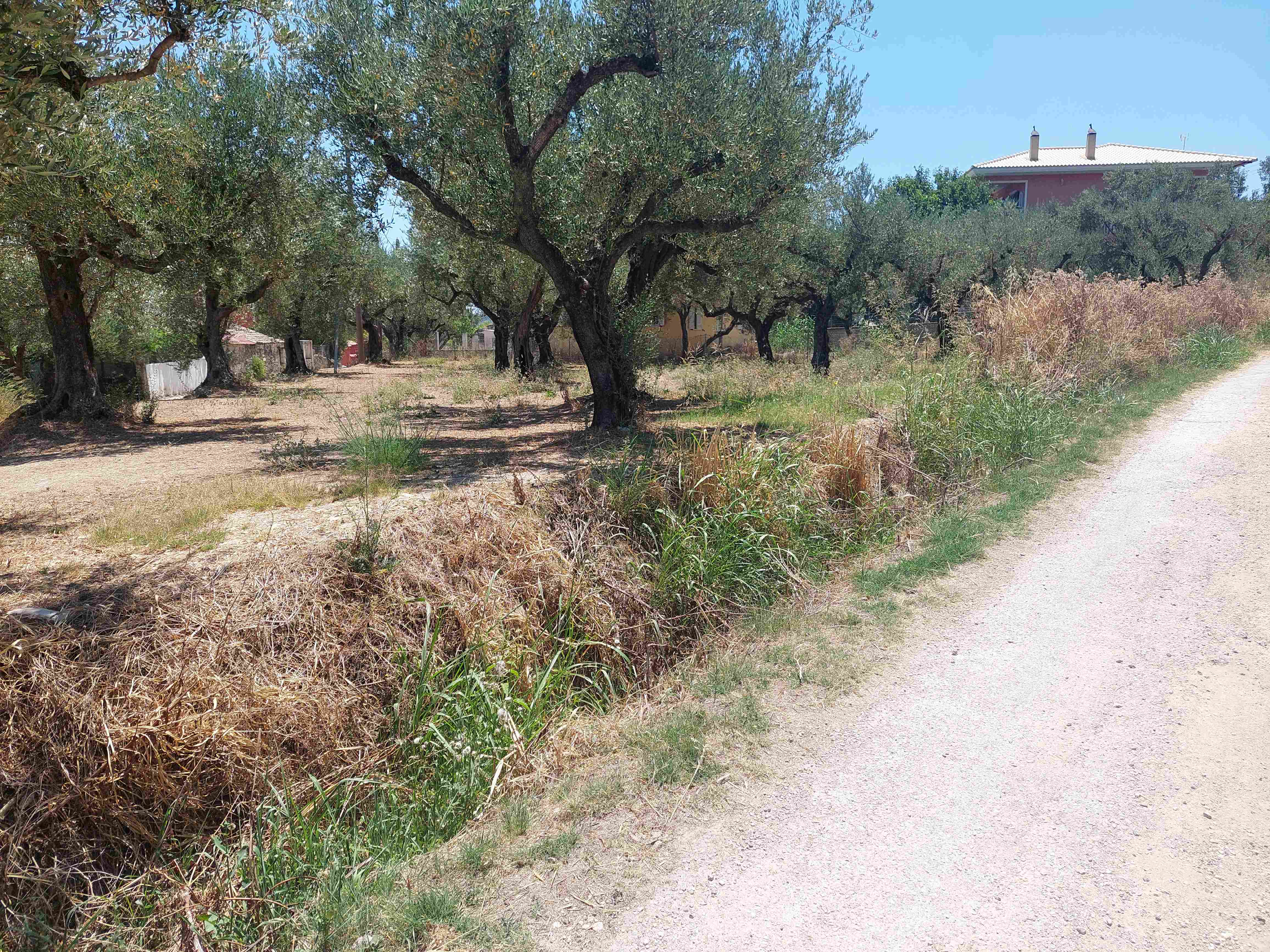 Οικόπεδο 594.74 τ.μ. σε πλειστηριασμό Δήμος Ζακύνθου