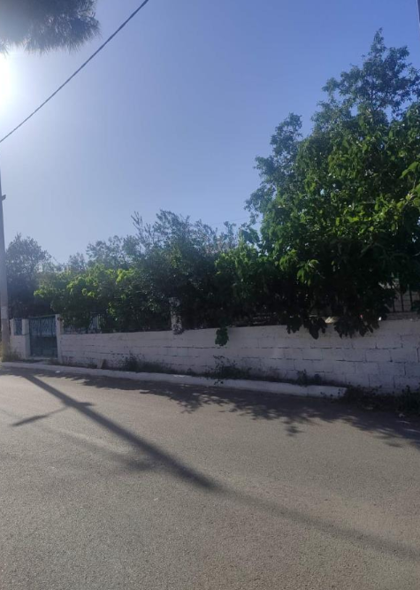 Κατοικία  σε πλειστηριασμό Tribe Municipality