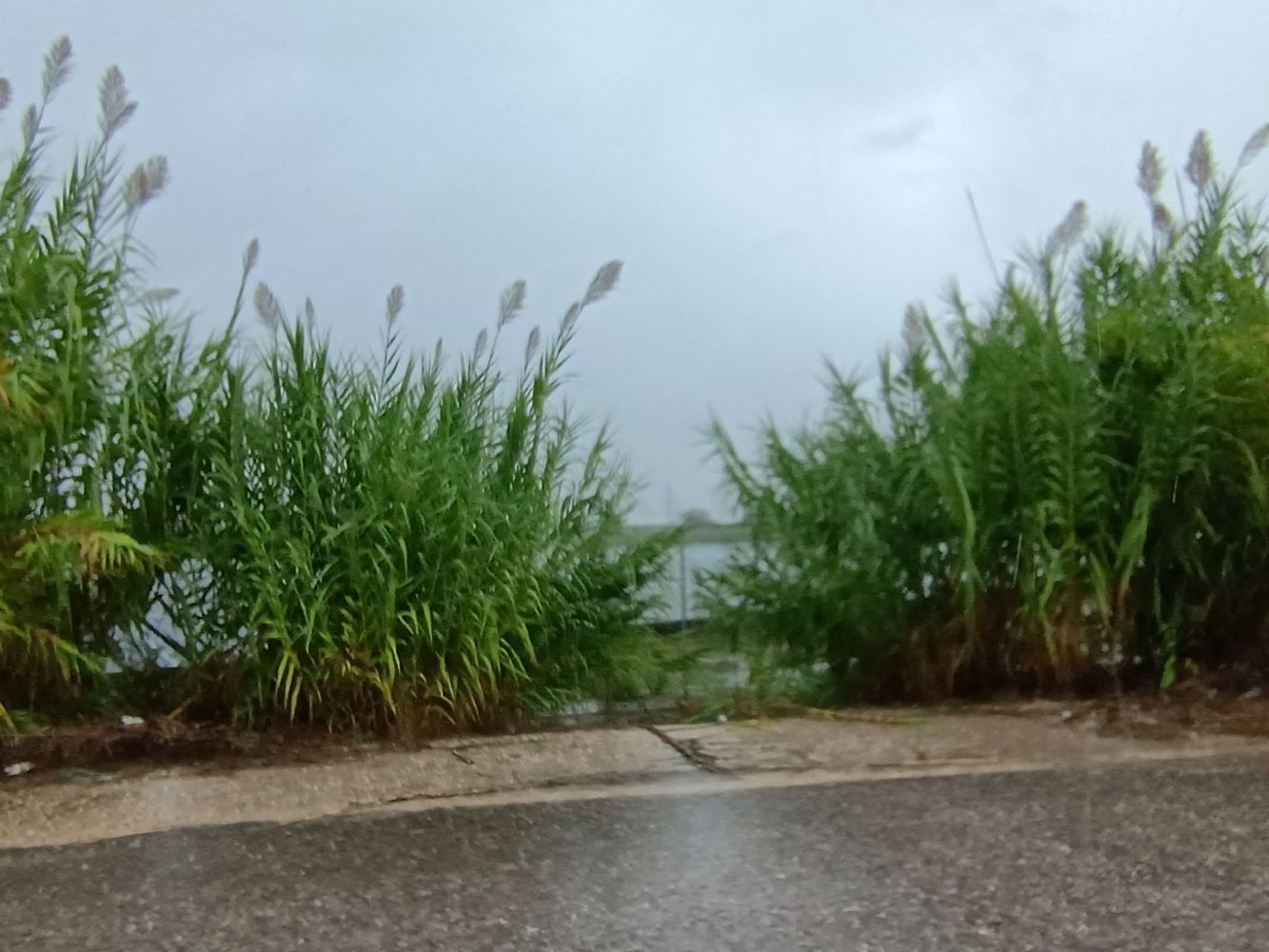 Αγροτεμάχιο με κτίσμα  σε πλειστηριασμό Municipality of Agrinio