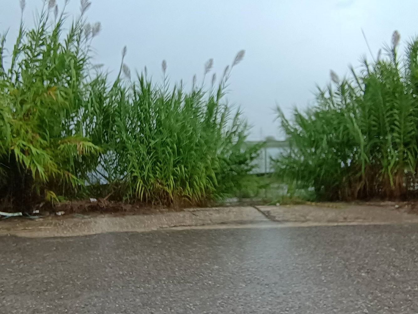 Αγροτεμάχιο με κτίσμα  σε πλειστηριασμό Municipality of Agrinio