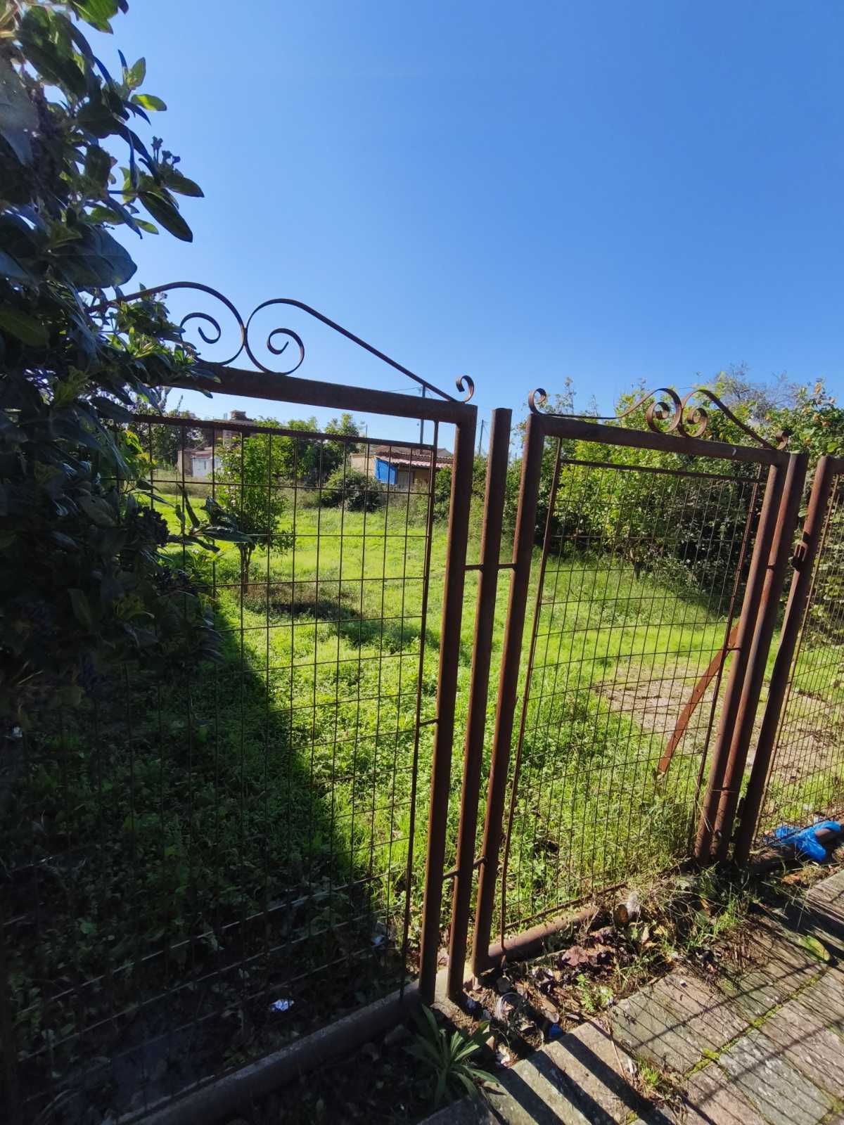 Οικόπεδο  σε πλειστηριασμό Δήμος Ήλιδας