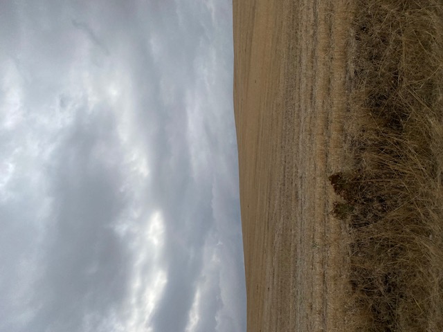 Αγροτεμάχιο 999 sq.m. σε πλειστηριασμό Municipality of Farsala