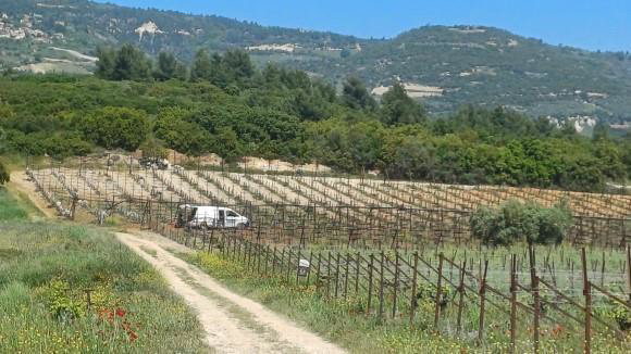 Αγροτεμάχιο 0 τ.μ. σε πλειστηριασμό Δήμος Βέλου - Βόχας