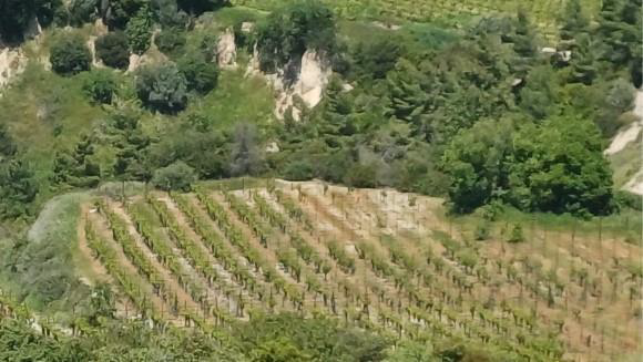 Αγροτεμάχιο 272 τ.μ. σε πλειστηριασμό Δήμος Βέλου - Βόχας