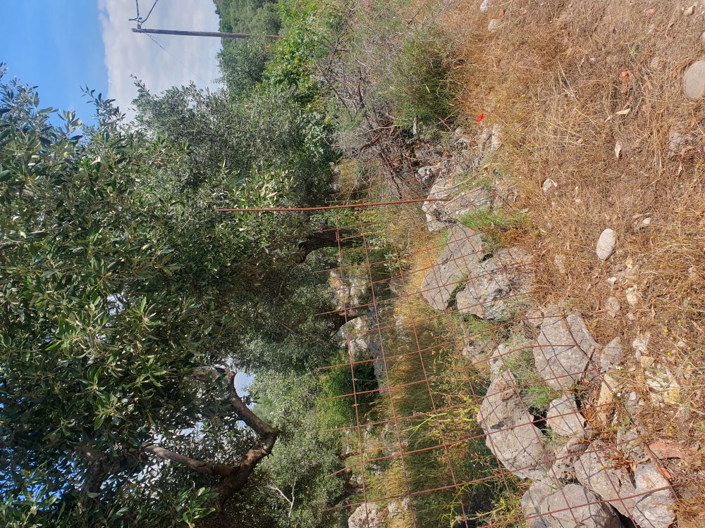 Οικόπεδο με κτίσμα  σε πλειστηριασμό Δήμος Ξηρομέρου