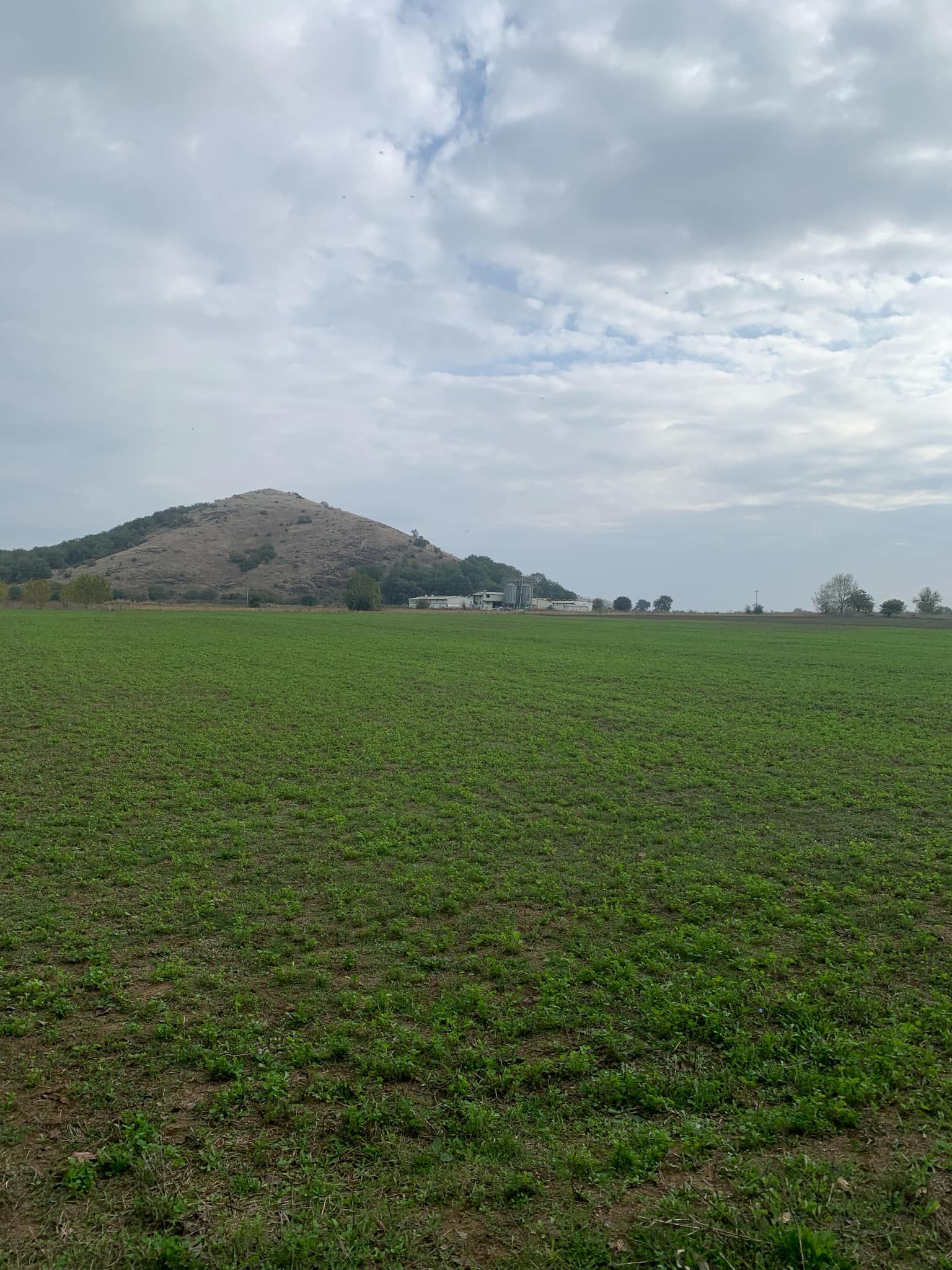 Αγροτεμάχιο με κτίσμα  σε πλειστηριασμό Municipality of Pyli