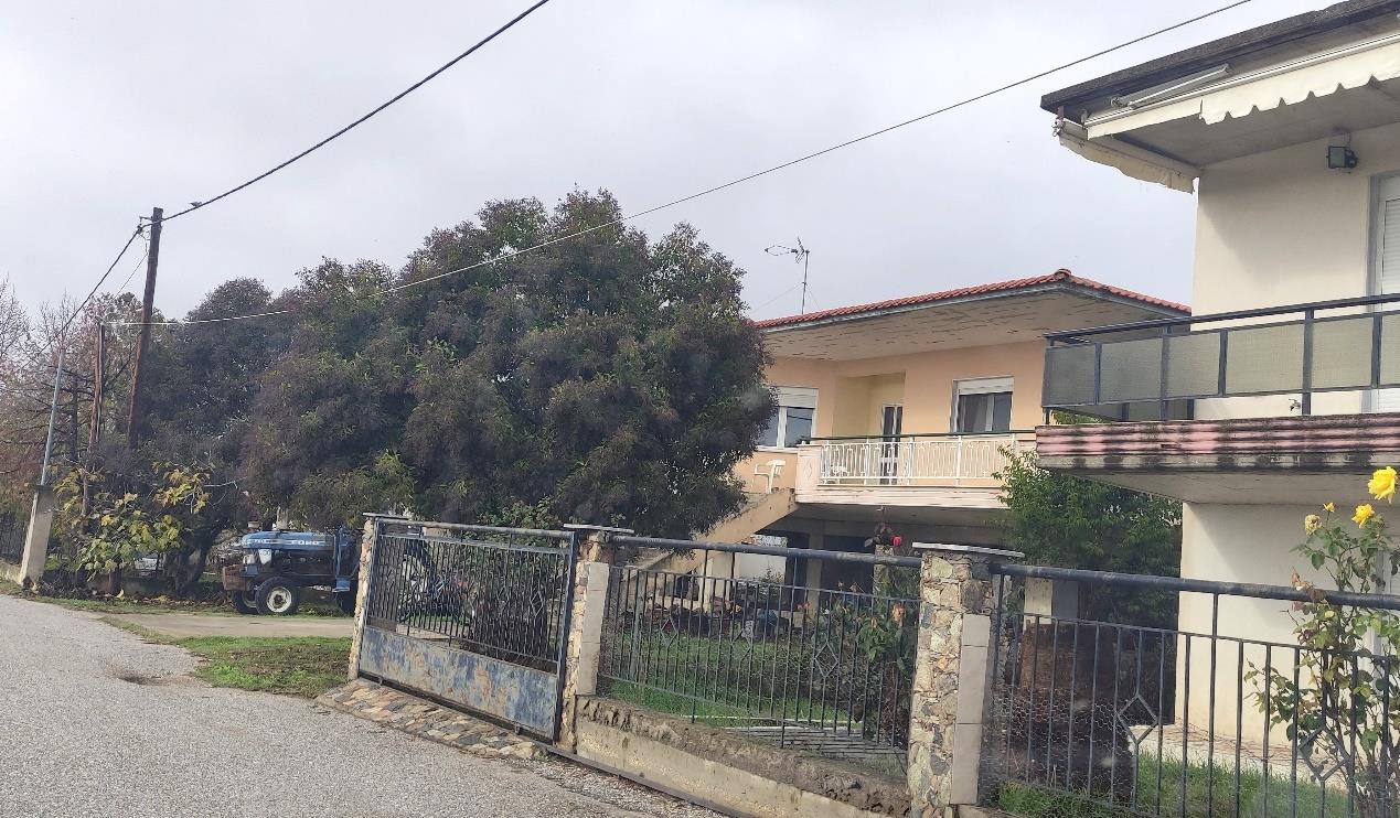 Οικόπεδο με κτίσμα  σε πλειστηριασμό Δήμος Σιντικής